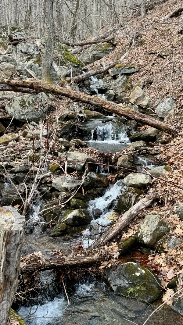 A narrow stream cascades down the side of a mountain