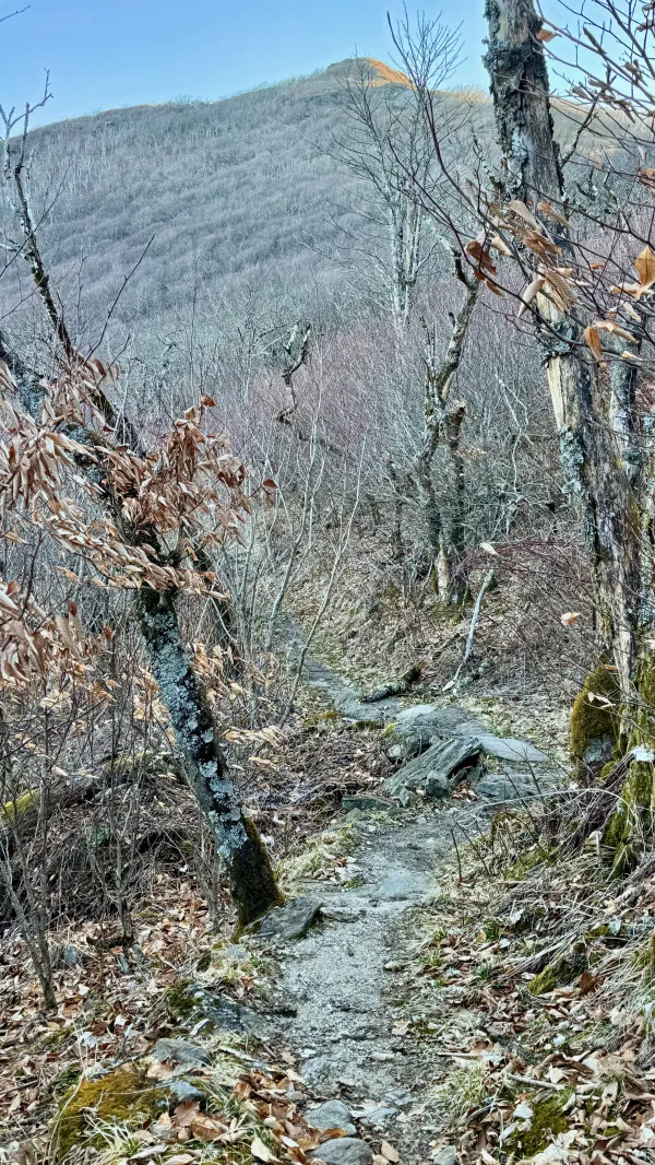Craggy Dome looms ahead