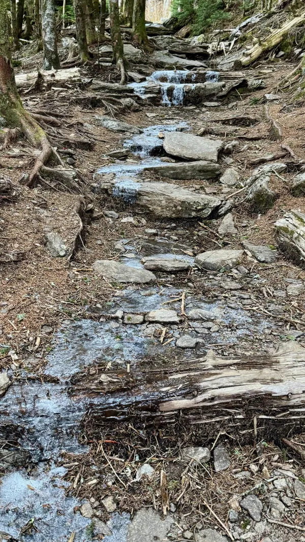 Ice on the trail
