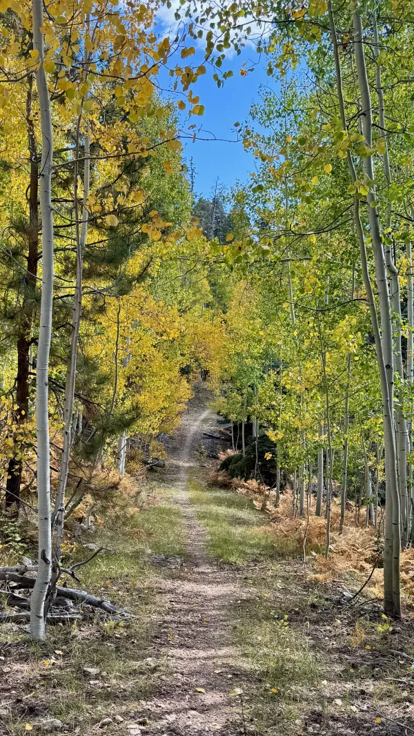 The trail goes down and up