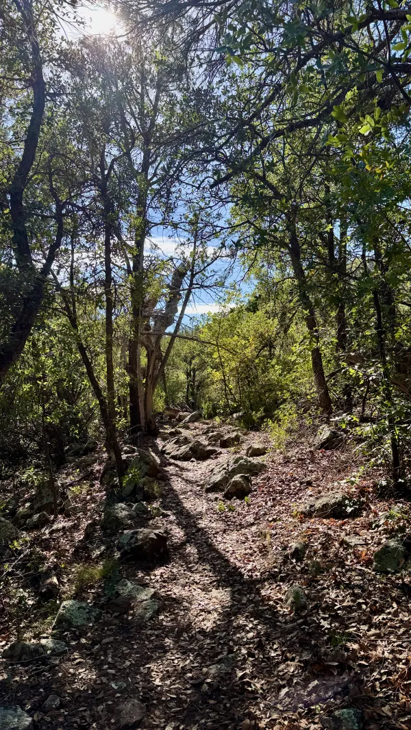 Big rocks on the trail