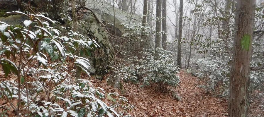 Chimney Top Trail in Frozen Head SP
