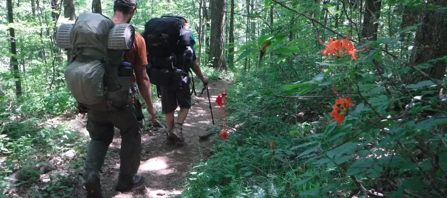 Leaving Hawk Mountain 