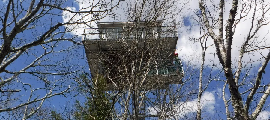 Albert Mountain Fire Tower
