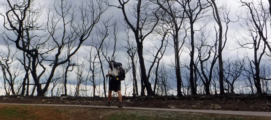 On the trail to Wayah Bald Tower