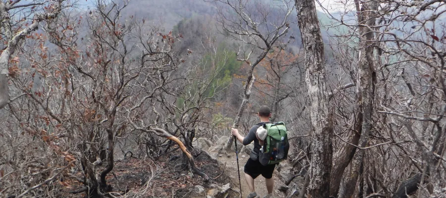 Descending Wesser Bald