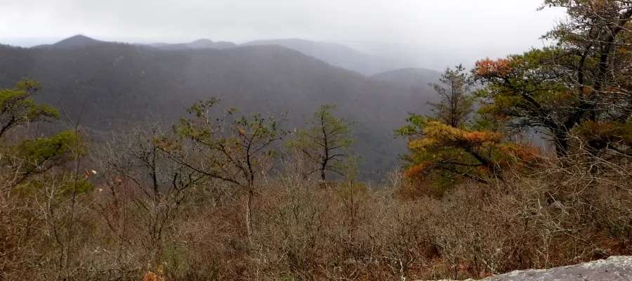 View from the trail 