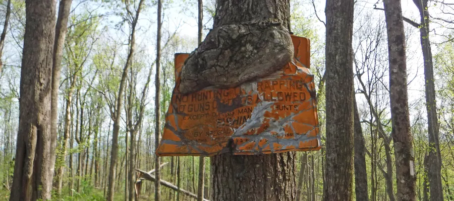 No hunting sign