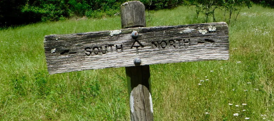 AT sign in a meadow