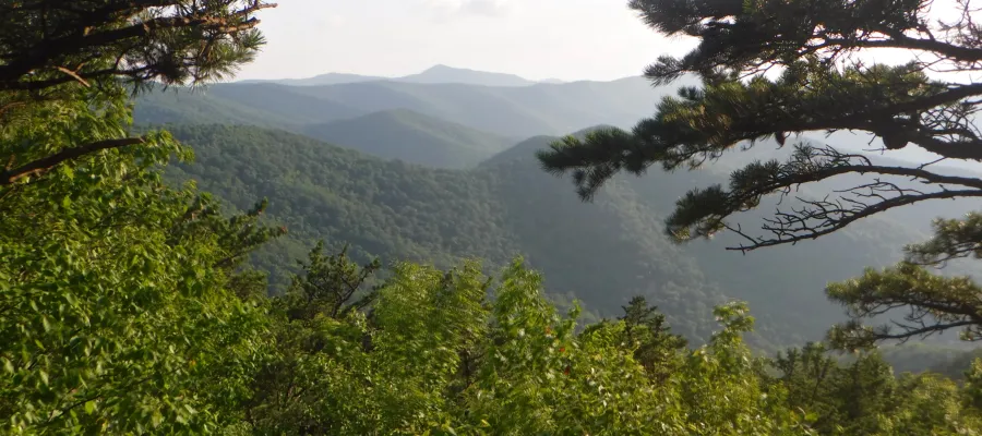View from ledge in Shenandoah National Park