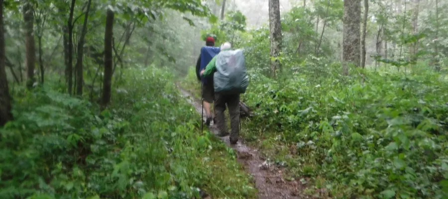 Rainy trail