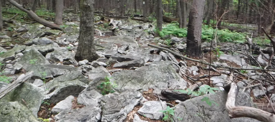 Rock jumble
