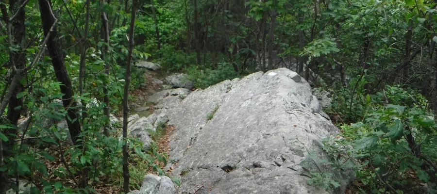 Large rock on the trail