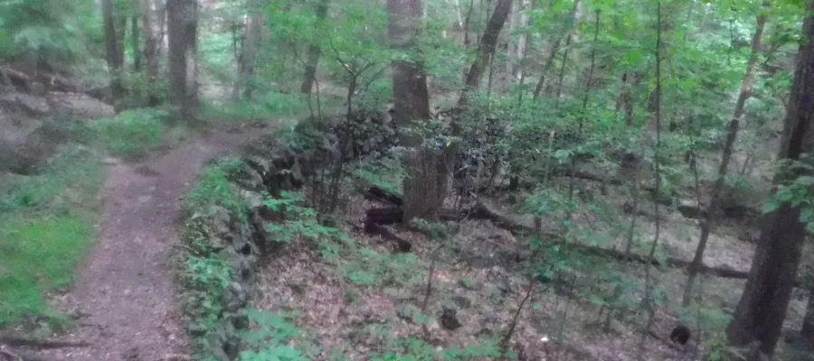 Appalachian Trail in Clarence Fahnestock Memorial State Park