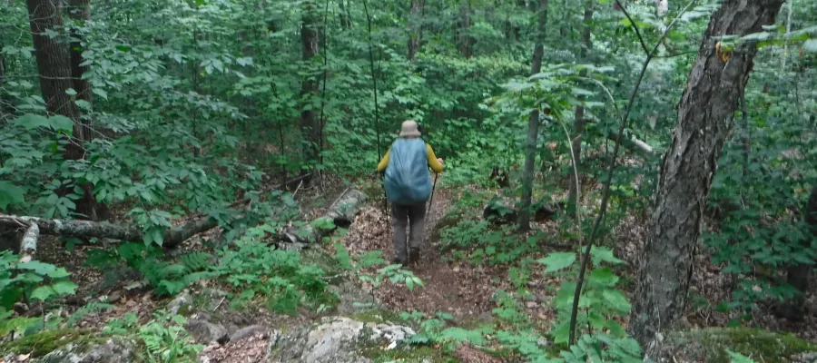 Stick leaving Dalton, Massachusetts