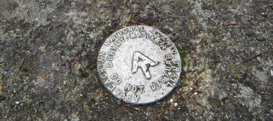 Survey marker