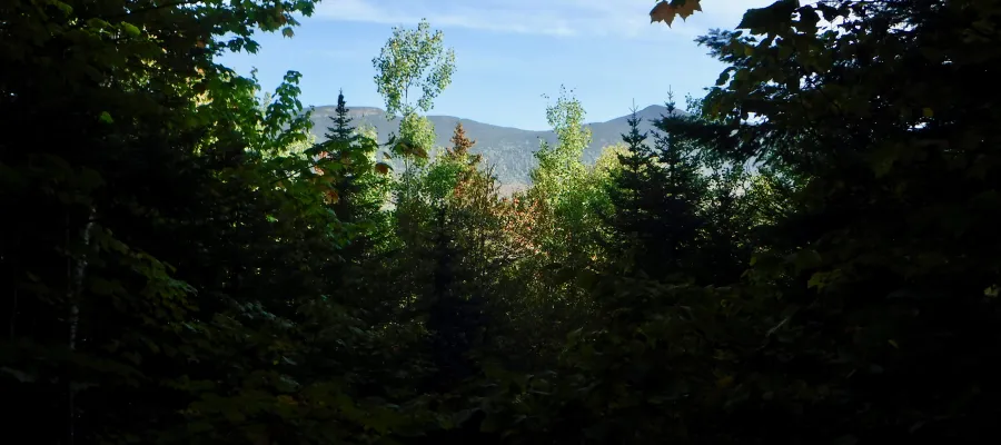 Narrow view of the mountains ahear