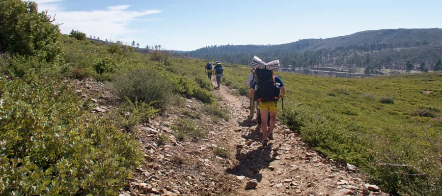Tramily on the trail