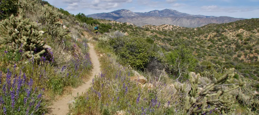 Tengo Hambre on the trail