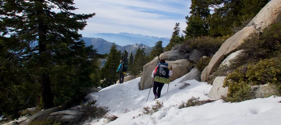 Snowy descent