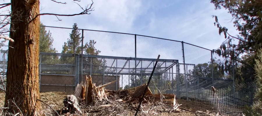 Former site of Randy Miller’s Predators in Action