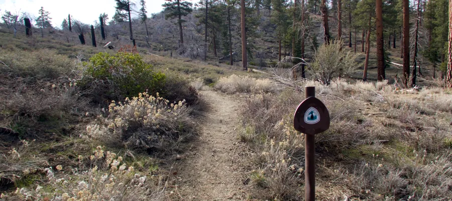 Pacific Crest Trail near Big Bear Lake and Bertha Ridge