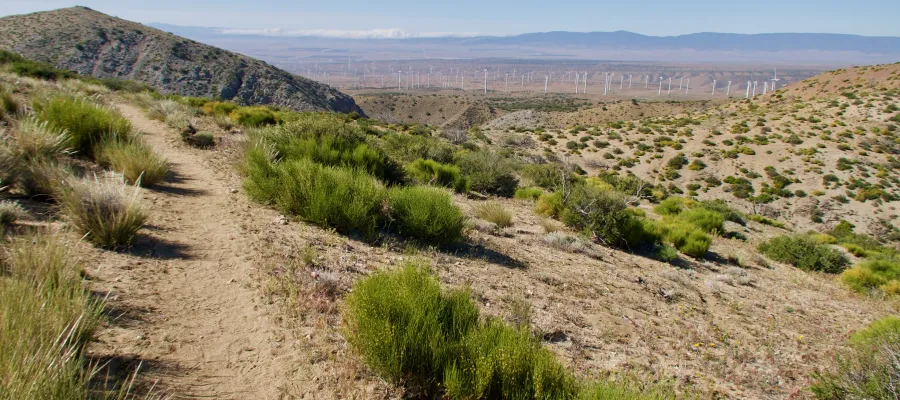 Looking back to Antelope Valley