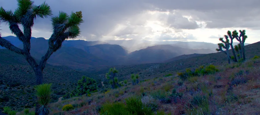 Sunlight breaking through clouds