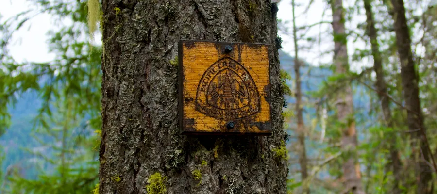 An old, weathered PCT marker nailed to a tree