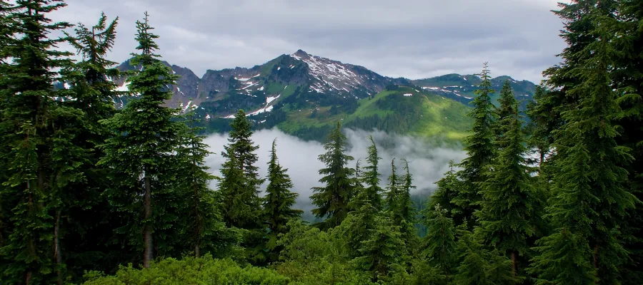Clouds, mountains, more clouds and trees