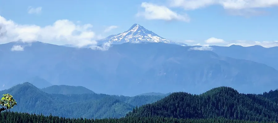 View of Mt. Hood