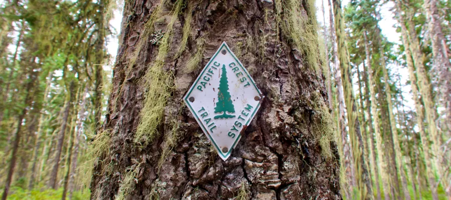 PCT marker on a mossy tree