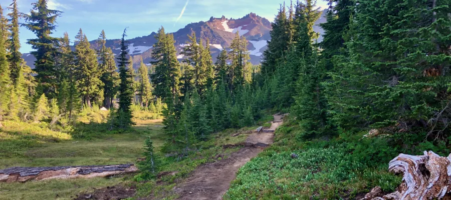 Trail leading to Diamond Peak