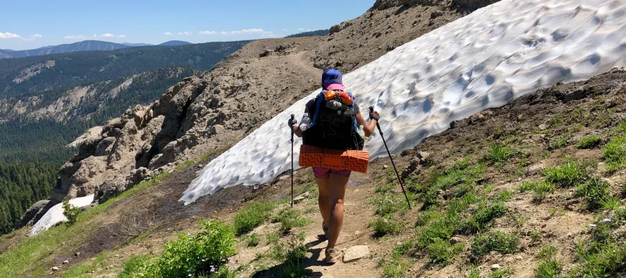 Sunkist on the PCT