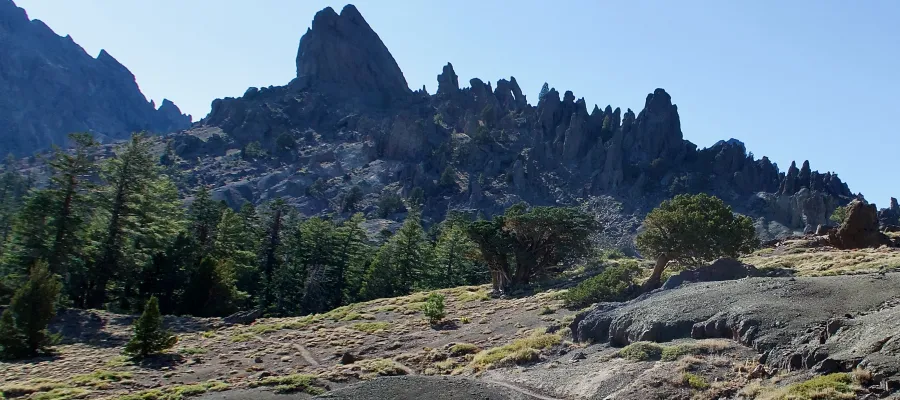 Jagged rocks of Reynolds Peak
