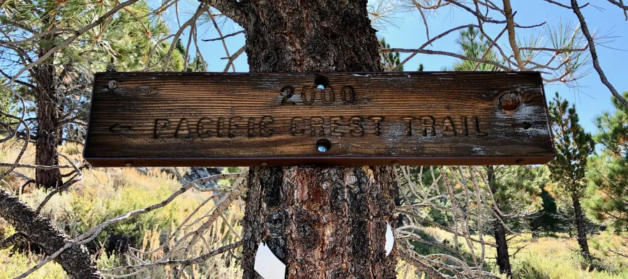 A PCT sign nailed to a tree