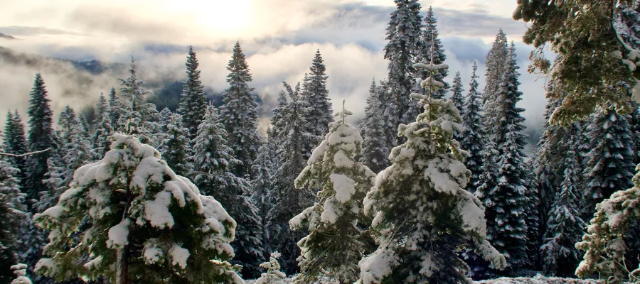 Sunlight filtering through clouds