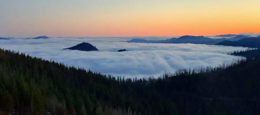 A view at dawn