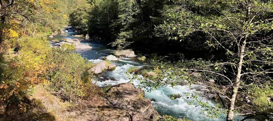 McCloud River