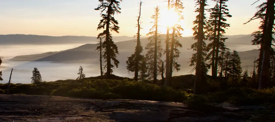 Sunrise on the PCT in Plumas National Forest