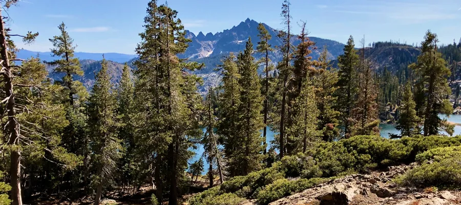 A view of Sierra Buttes