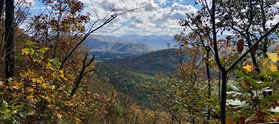A view from the Benton MacKaye Trail
