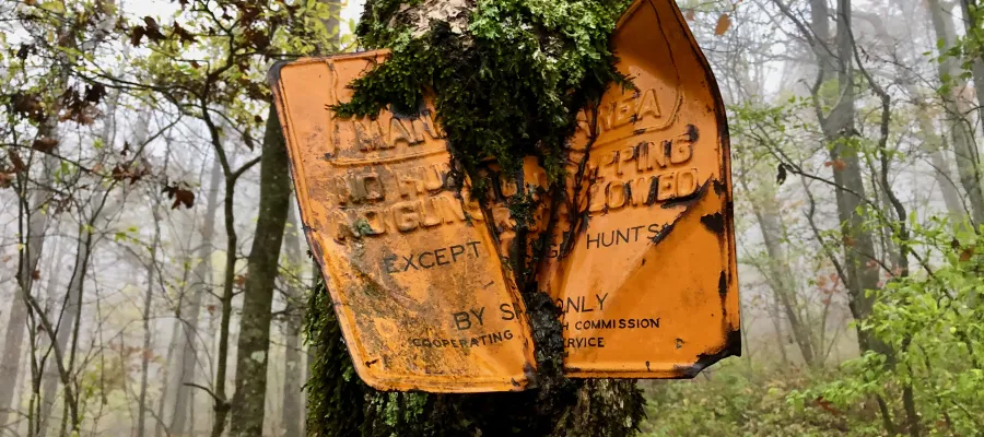 A tree swallows a metal sign