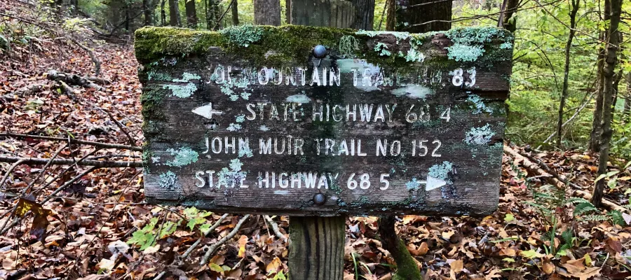A moss-covered trail sign