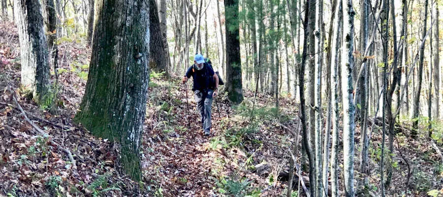 Tengo Hambre catches up after getting off the trail