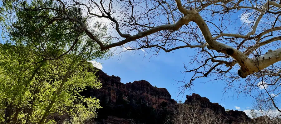 A view of the sky