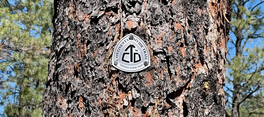 A CDT emblem is mounted on a tree