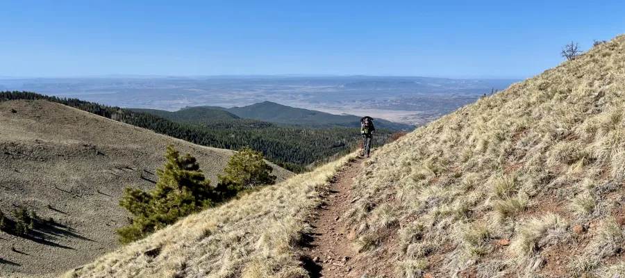 Zigzag rounds the slope of Mt. Taylor