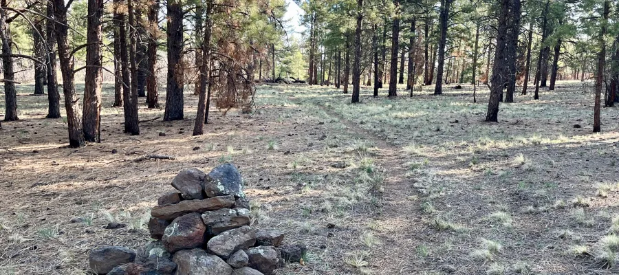 A rock cairn on the Continental Divide Trail