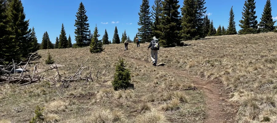 No Keys, OldTimer, and Top O' climb a ridge